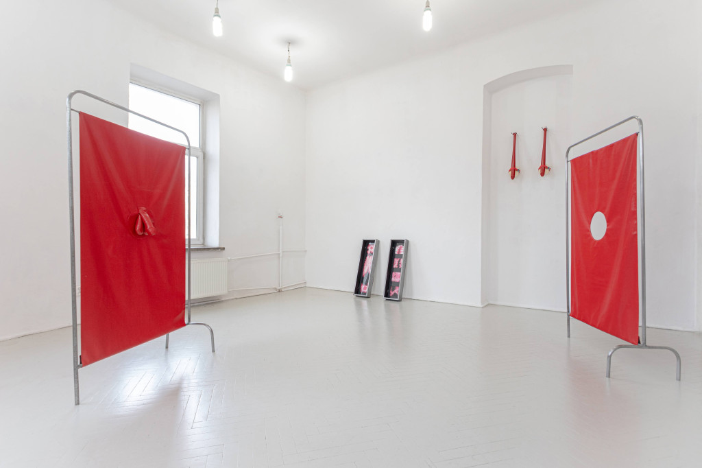 Wystawa SHELTER IN AHOTHER BODY / Fot. Konrad Banit