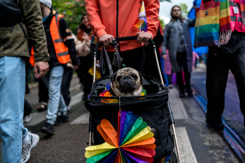 Marsz Równości w Krakowie 2025 + Queerowy Bal w Teatrze Starym / Fundacja Równość.org.pl
